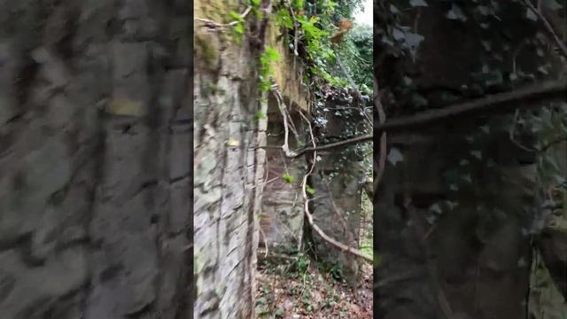 Дача адвоката Плевако. Башня #всочиумаши смотреть онлайн