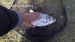 Рыбалка в Крыму 06.06..  Озеро Чекур-Эли толстолобик!