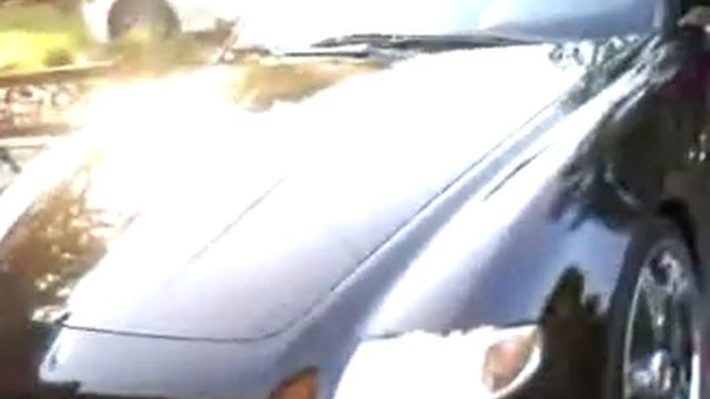 Danny D In maserati смотреть онлайн