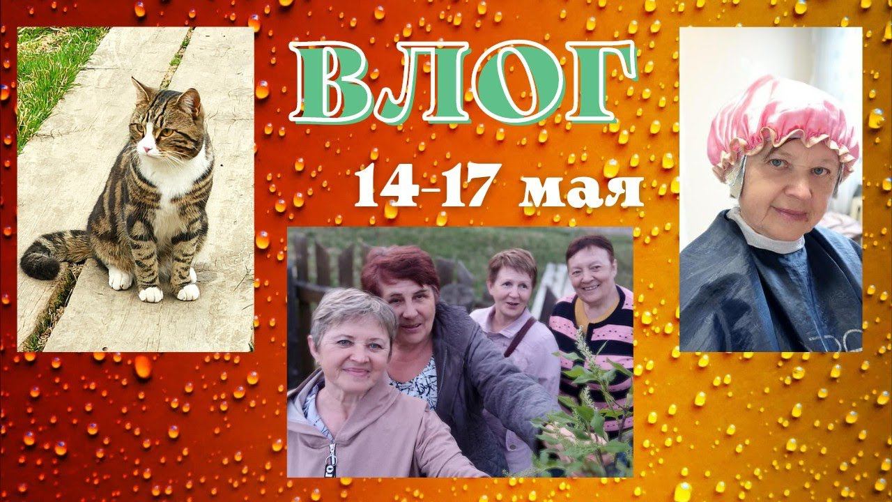 ВЛОГ. Кот красавец! Я навела красоту. На дне рождения у Люси.