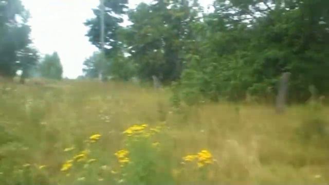 Ой, Года Мои Года Александр Баранов смотреть онлайн