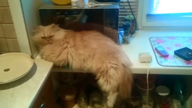 Лучшее место смотреть онлайн
