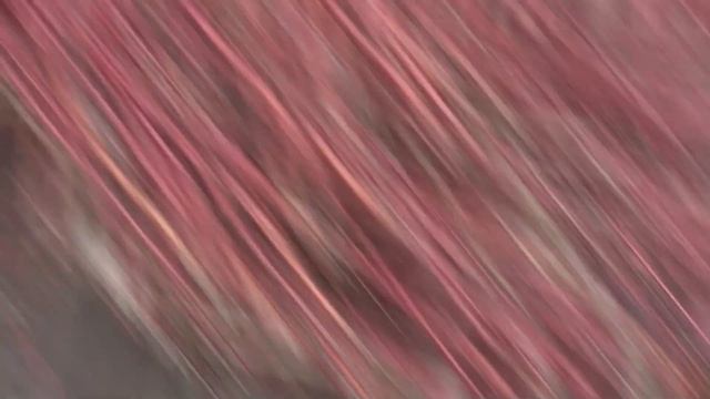 Что цветет в моем саду в середине марта: нарциссы, крокусы, гиацинты смотреть онлайн