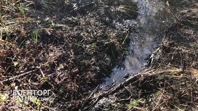 "ОХОТА на БОБРА" с КАПКАНАМИ КП-250, КП-5 ОСЕНЬЮ смотреть онлайн