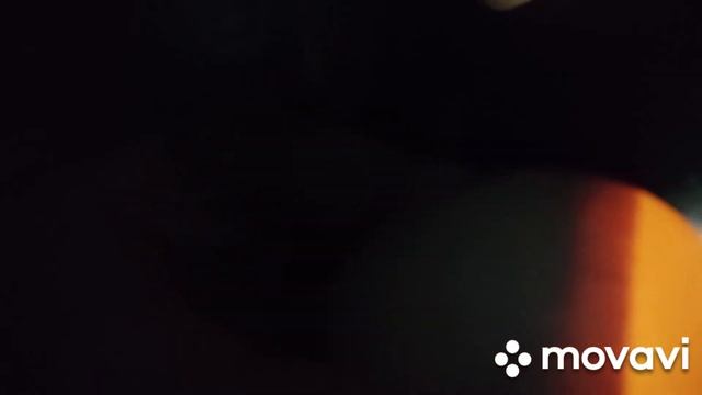 Что происходит в яйце на 16 день Инкубации смотреть онлайн