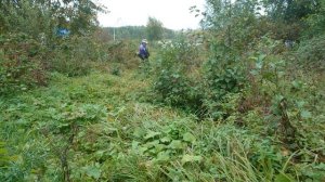 Испытываем Триммер электрический Huter GET-1700B и микрофон