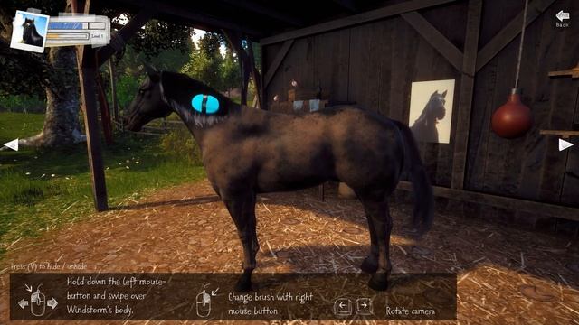 Ostwind Windstorm #1 Gameplay PC