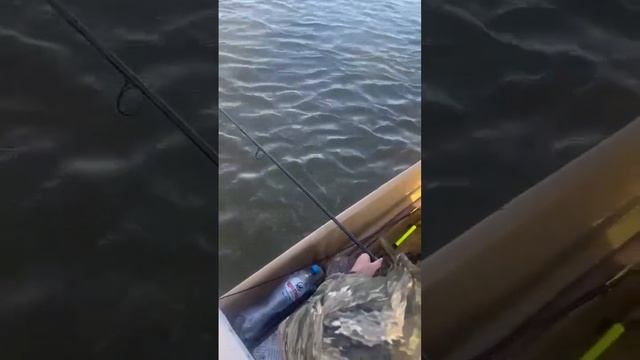 Астрахань рыбалка база отдыха лоцман . Рыбалка огонь ?