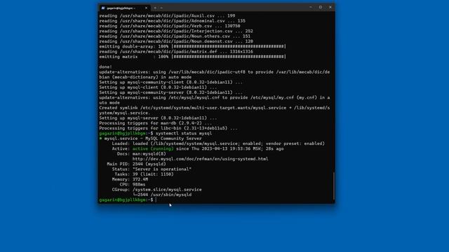 Как установить сервер СУБД MySQL в Debian 11? смотреть онлайн