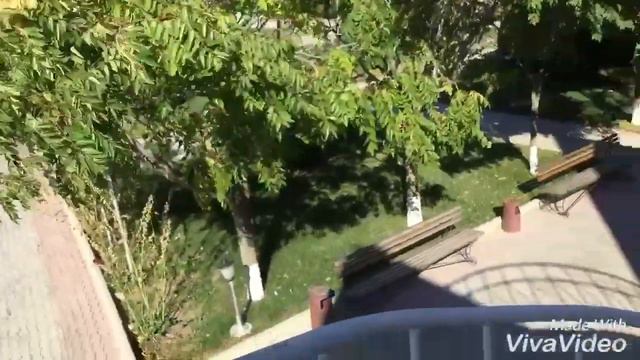 Мы на базе отдыха Стигл - VivaVideo