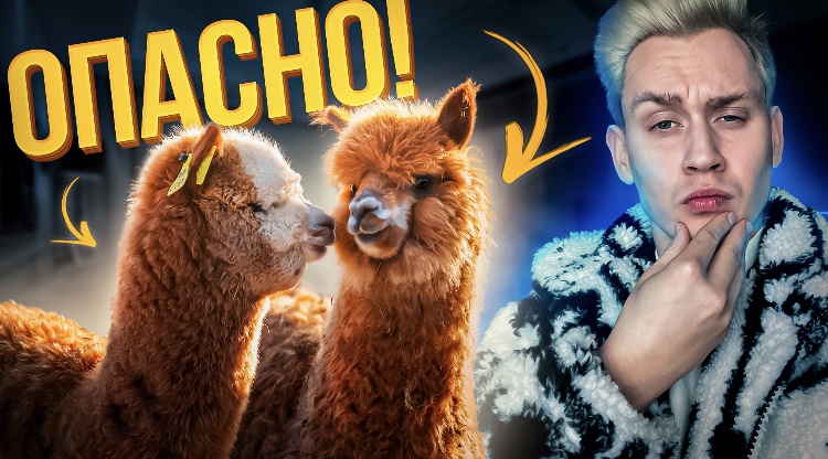 Безобидные животные с которыми лучше не иметь дело смотреть онлайн