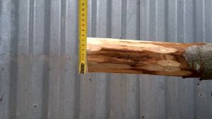 Шипорезка (насадка на дрель). Нарезание круглого шипа с конусным переходом.