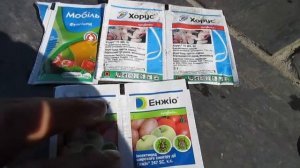 Обработка сада весной, до и после цветения