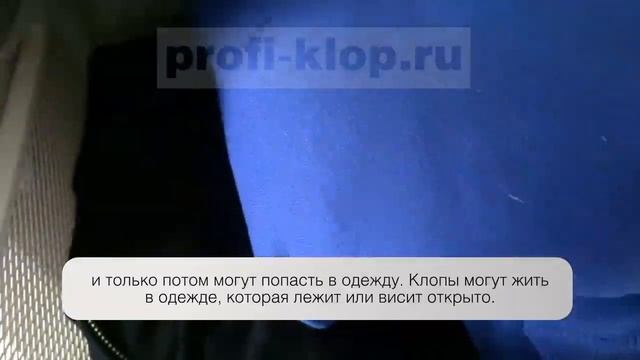 Могут ли клопы жить в одежде смотреть онлайн