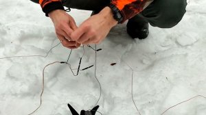 Антенна Диполь. Инструкция по установке в лесополосе.