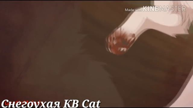 {Коты воители клип}▪[К0каин]•••Спасибо за 223 котят!! Люблю вас? смотреть онлайн