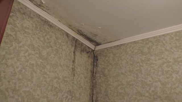 Народний контроль. Через дірявий дах у квартирах людей течуть стеля та стіни смотреть онлайн