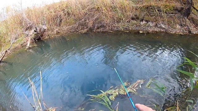 Мормышинг с ОЛТА Колибри 185 0.1-0.8 гр. смотреть онлайн