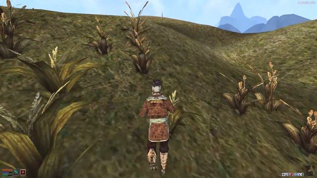 Mission to Nchuleft - House Telvanni Walkthrough (TES III Morrowind) смотреть онлайн