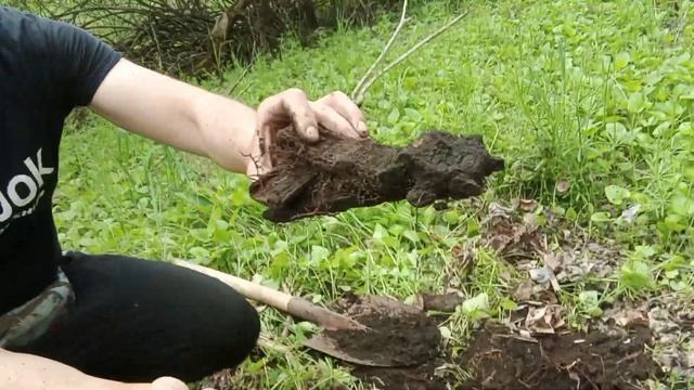 СКОЛЬКО ТУТ ЕЩЁ ЛЕЖИТ НАХОДОК ⛏️ Коп 2021 металла с Бюджетым металлоискателем Clone pi avr смотреть онлайн