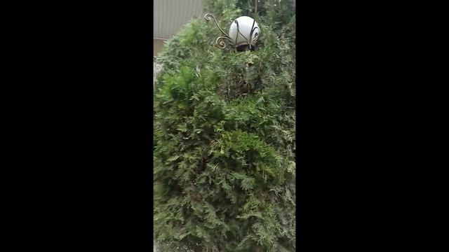 С ДНЕМ Рождения Венера! Здоровья! Счастья! Любви! Богатства!!!! смотреть онлайн