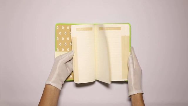 Блокнот Color (салатовый). Резинка, тиснение золотой фольгой, искусственная кожа, 80 л., А5 смотреть онлайн