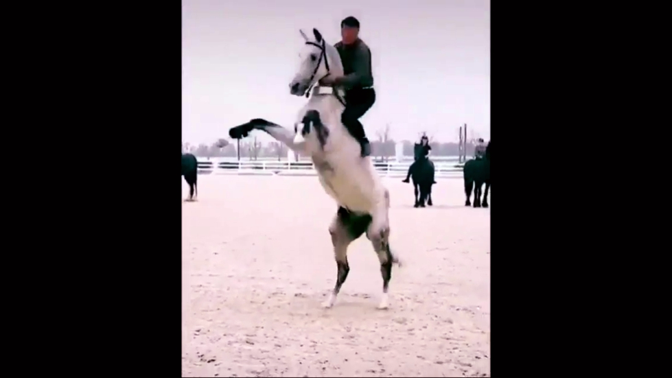 И где эффектнее? смотреть онлайн