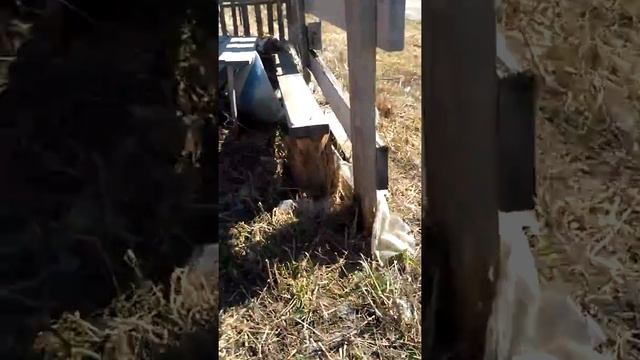 Небольшая сказка:мы нашли клад.часть 1 смотреть онлайн