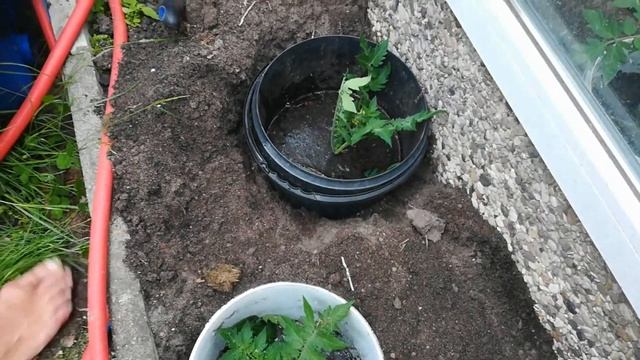 Лето, увлечения, любовь, помидоры смотреть онлайн