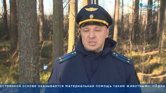 Во Всемирный день Земли выпустили в естественную среду обитания птиц смотреть онлайн