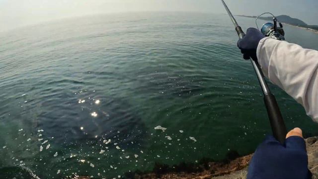 Петух-ворчун и воришка-Плоскоголов.Рыбалка в Южной Корее (Перезалил видео из-за авторских прав) смотреть онлайн