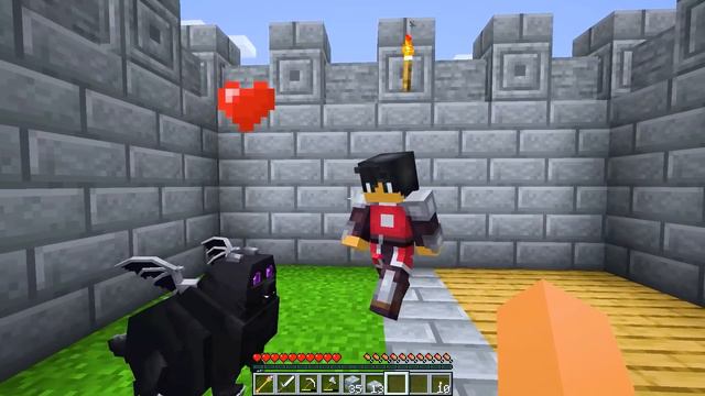 Having A ROYAL FAMILY In Minecraft!
