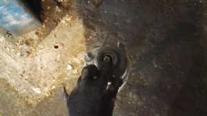 Замена передних амортизаторов FORD FIESTA