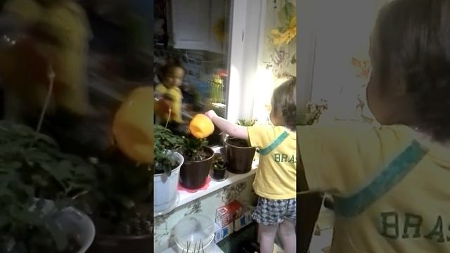 Цветы надо поливать , понимаете или нет