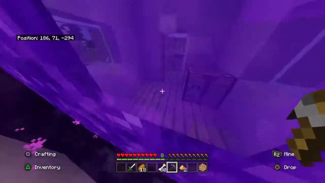 Playing Minecraft 1.16 LIVE (PART 4) смотреть онлайн