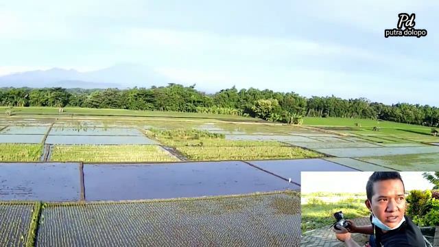 MENIKMATI WAHANA SAWAH DIPAGI HARI || DRONE MJX BUGS 12 EIS смотреть онлайн