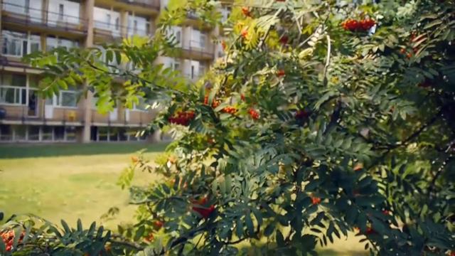 Ролик ко дню города Голицыно. смотреть онлайн