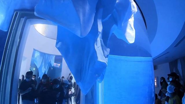 XPARK AQUARIUM FANTASY WORLD IN TAOYUAN TAIWAN смотреть онлайн