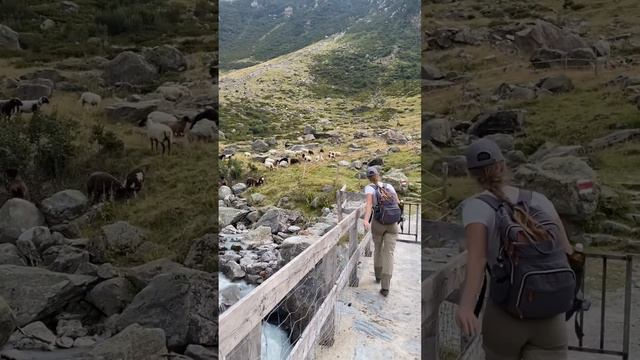 САМЫЙ ЭПИЧНЫЙ ВИСЯЧИЙ МОСТ В ШВЕЙЦАРСКИХ АЛЬПАХ #швейцария #локациидляфото #тревелвлог смотреть онлайн