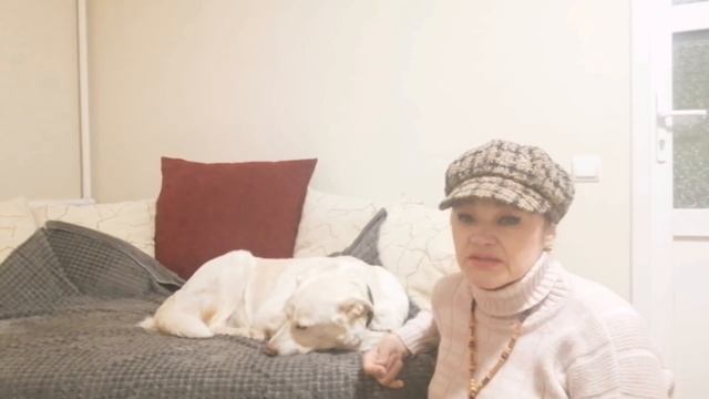 У нас с Леди к вам душевный разговор. смотреть онлайн