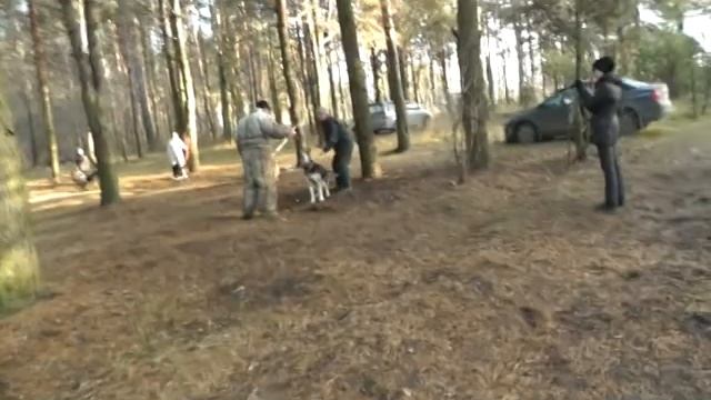 Тверь. Ноябрь 2013 смотреть онлайн