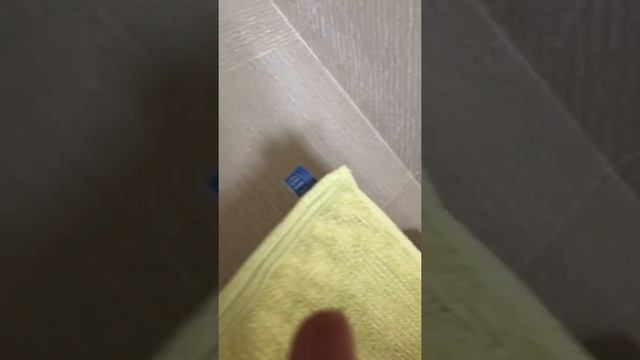 Dry Steam Cleaner 2 смотреть онлайн