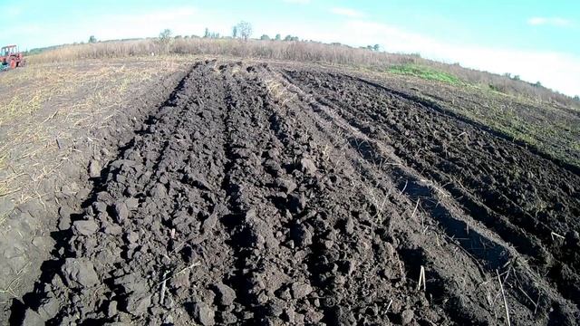 Трактор МТЗ 82 с дисковой бороной АГ 2.4 Дискуем смотреть онлайн