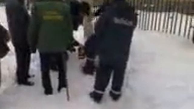 Орехово-Зуево, собака упала в колодец смотреть онлайн
