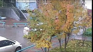 Массовая драка со стрельбой произошла на Горском в Новосибирске - Полное видео