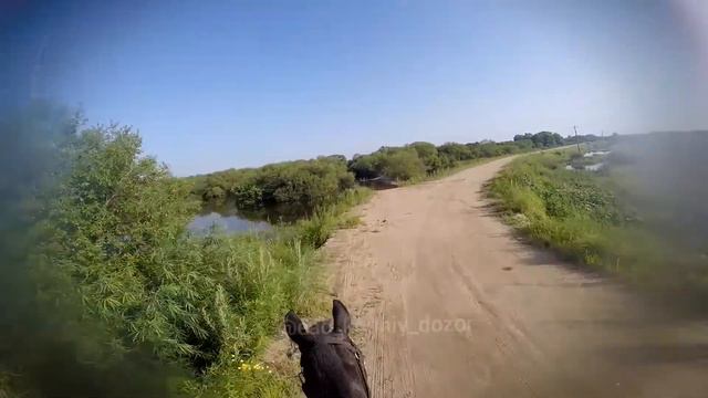 Тунгуска 19.07.2020 уже не проехать смотреть онлайн