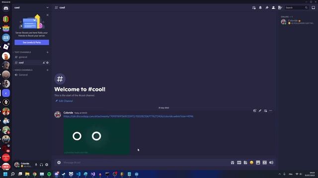 Brain Power - Discord Video Bouncing Glitch (coloride.webm) смотреть онлайн
