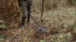 Нашёл урочище на лесной поляне #402