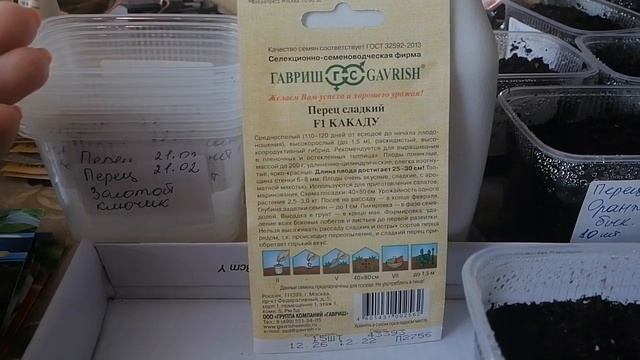 Планирую посадки на новый сезон. Обзор семян перца "Какаду" смотреть онлайн