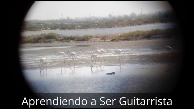 Metrónomo Flamenco: Bulerías de Jerez - Velocidad lenta: 196 смотреть онлайн